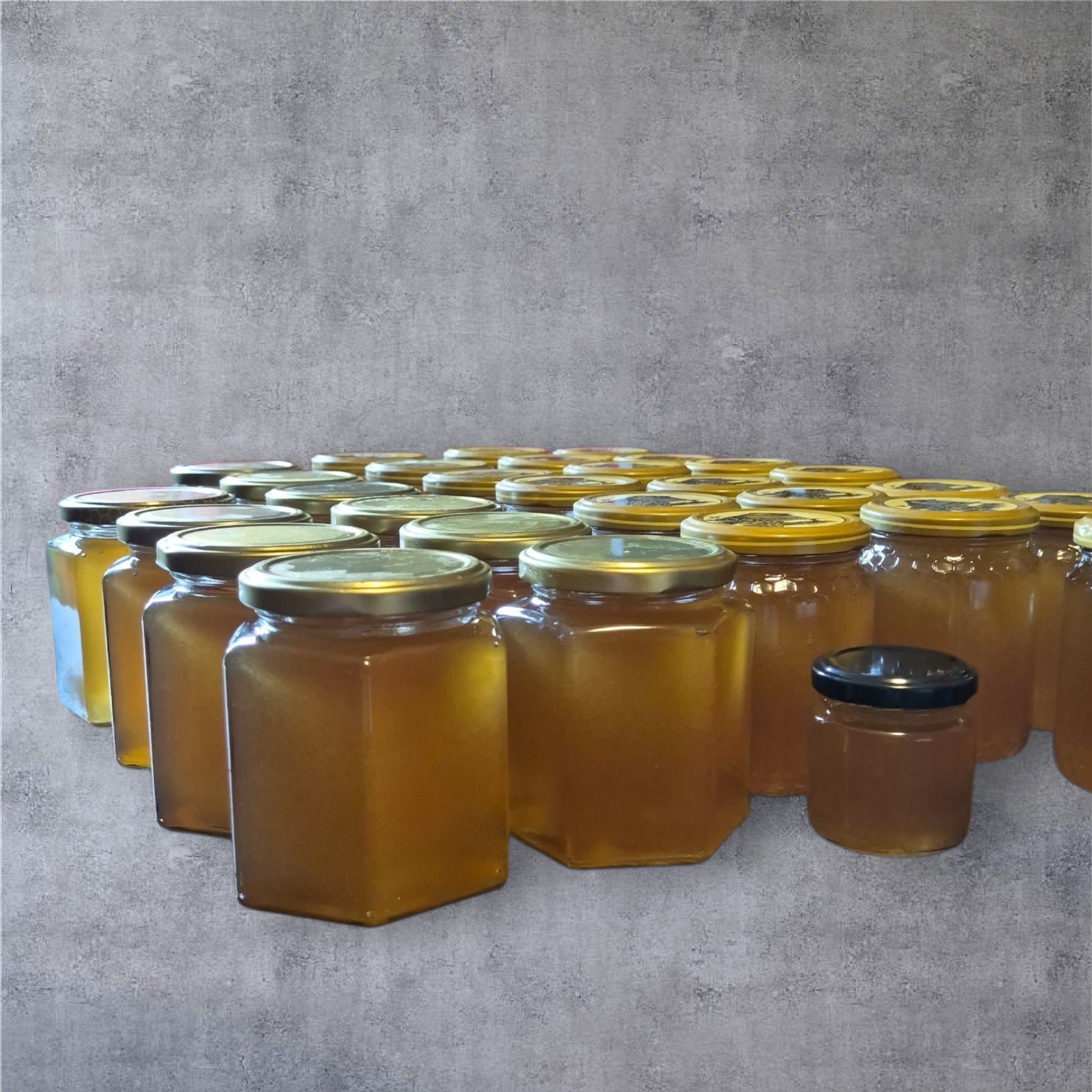 IMG_5632652194183707301 (2)-1