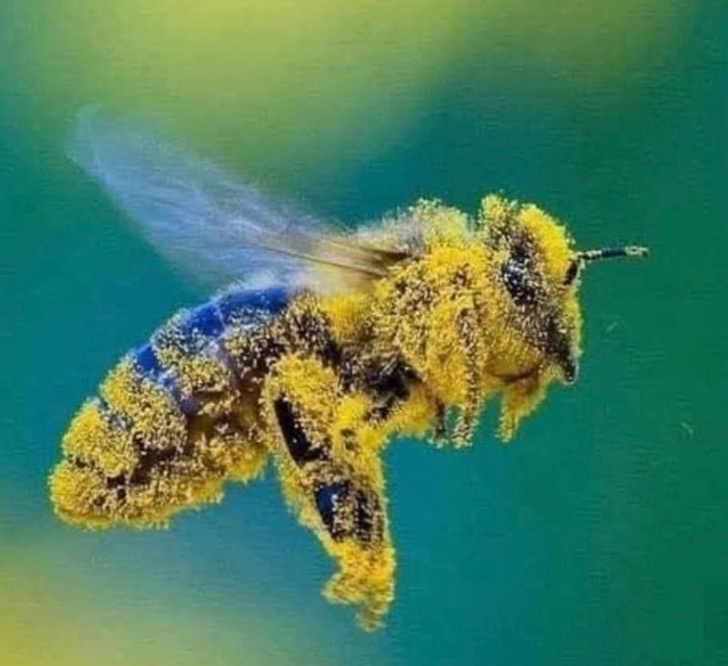 Screenshot_20250426_064227_Facebook-2