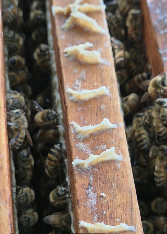 Screenshot_20250616_084507_Gallery